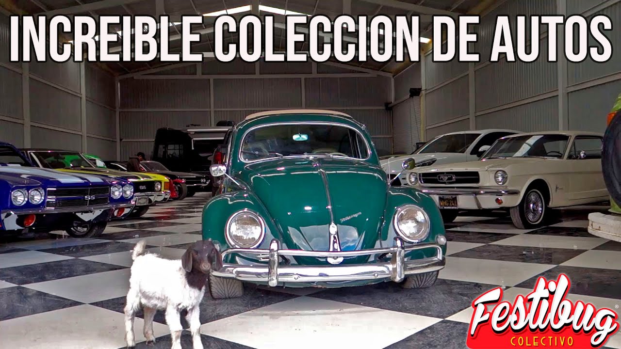 Increíble colección de autos/ VW OVAL 56👀