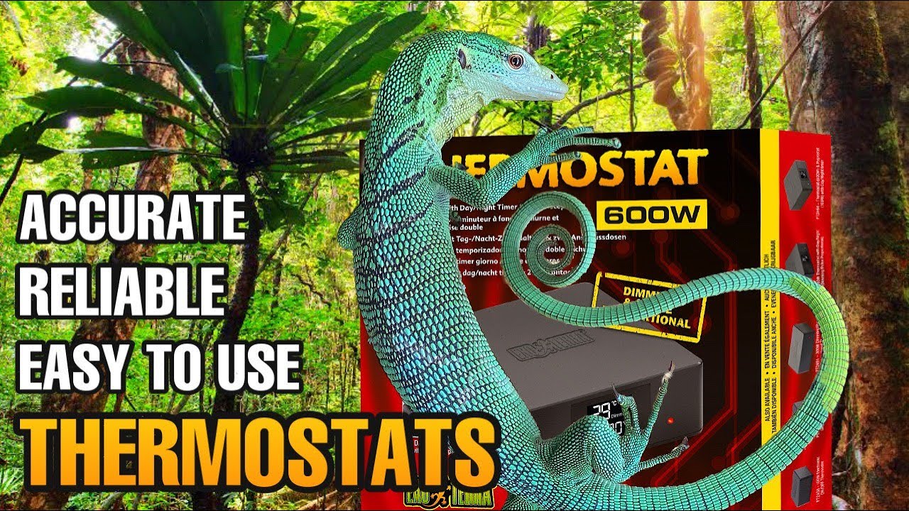 WHY YOU NEED THIS FOR YOUR TERRARIUM! NEW EXO TERRA THERMOSTATS