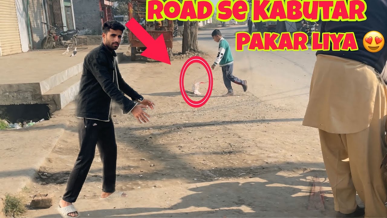 Road Se Sare Natab Kabutar Pakar Liya😱