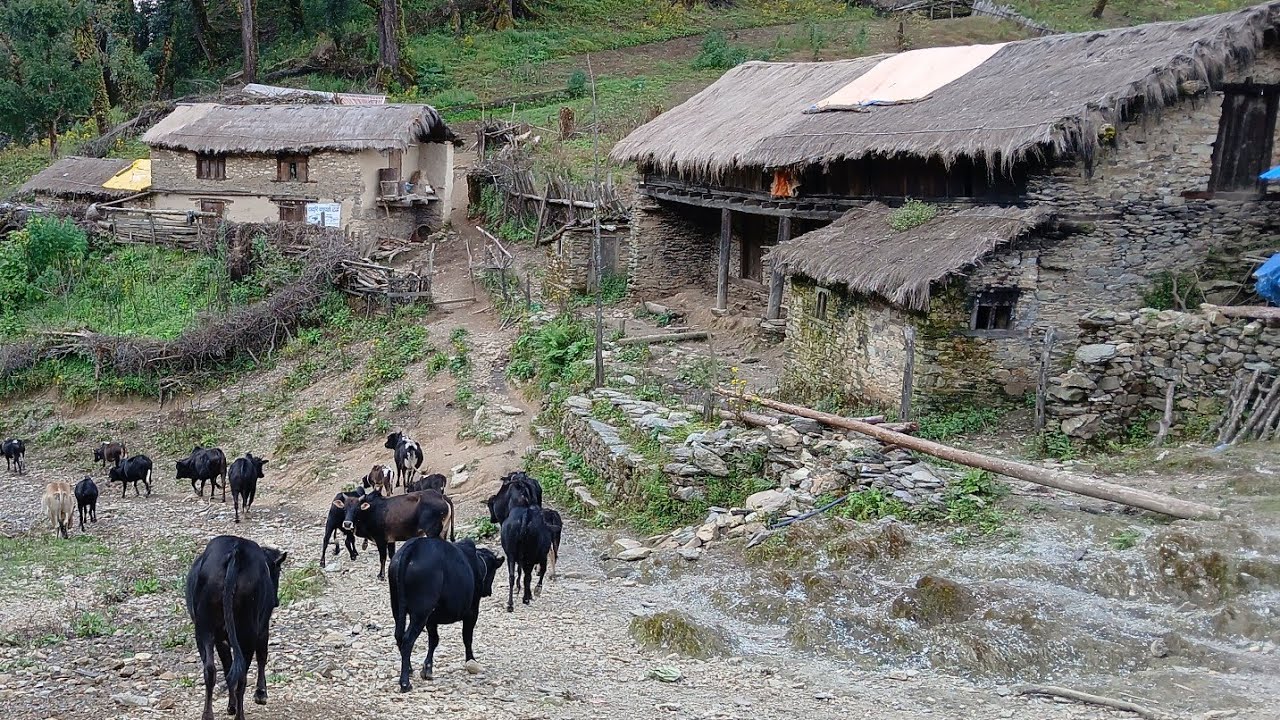 Naturally Beautiful Rural Life During The Rain || Most Peaceful And Relaxation Mountain Village ||