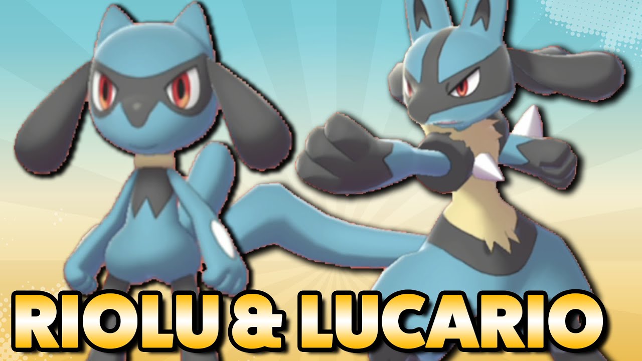 ❄️ Riolu fangen und entwickeln 🥊 Lucario fangen in Pokemon Schild und Schwert 🏅 Fundort + Attacken
