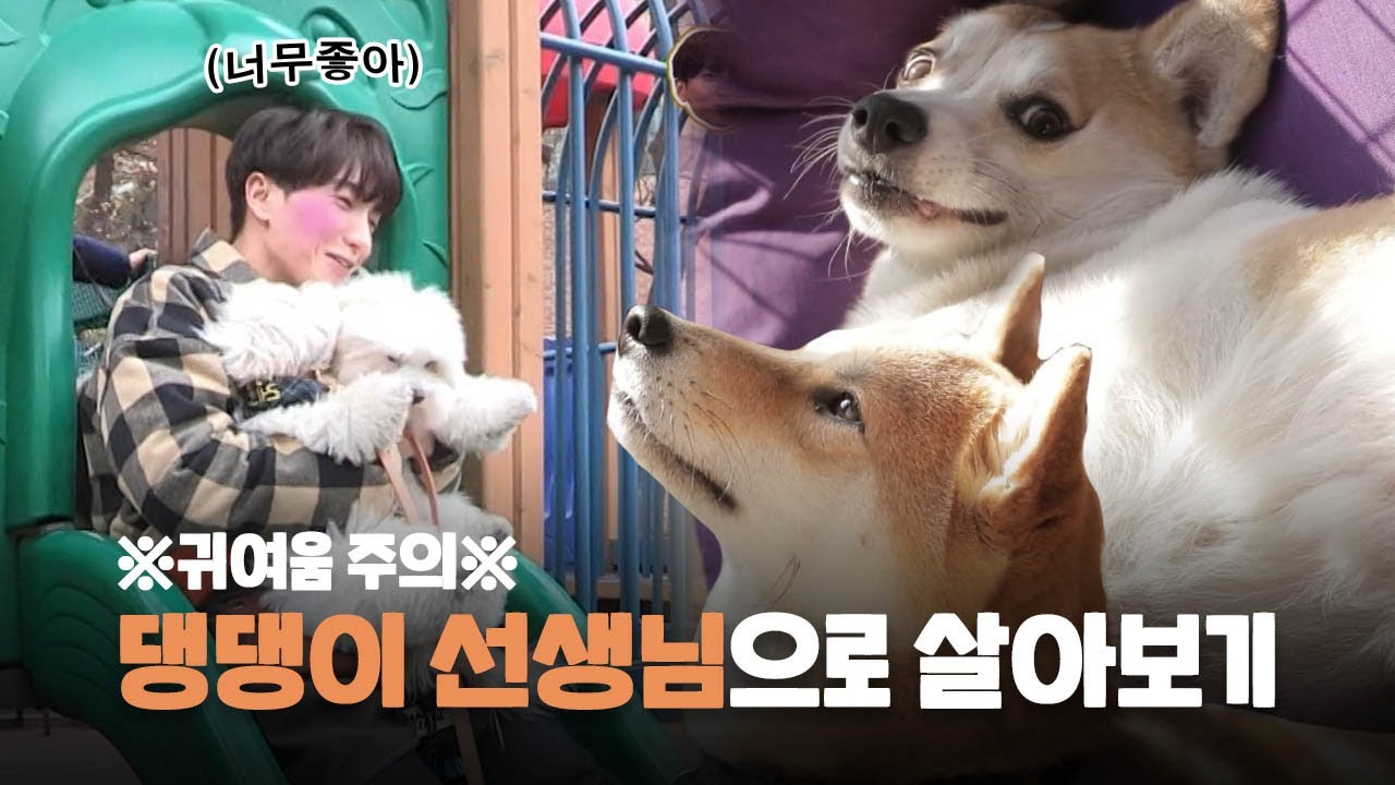 ※귀여움 주의※ 댕댕이 유치원 교사가 된 이특, [독한일꾼들] KBS 170406 방송