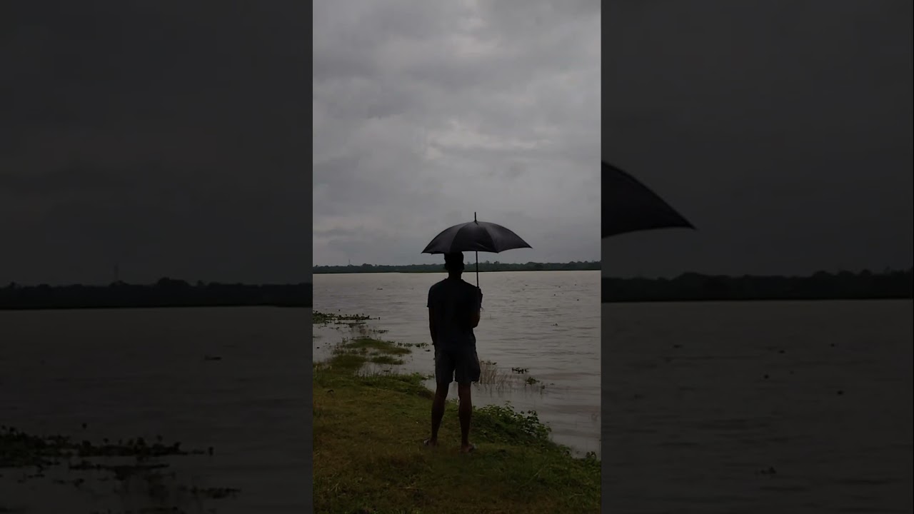 rainy day in Assam #rain #assam #monsoon #