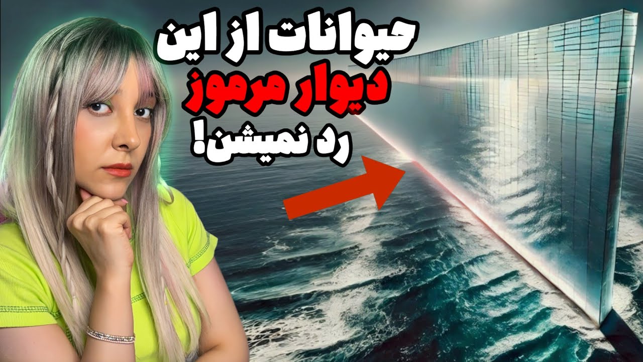 دیواری نامرئی در دل اقیانوس که حیوانات ازش عبور نمیکنن│راز خط مرموز والاس!