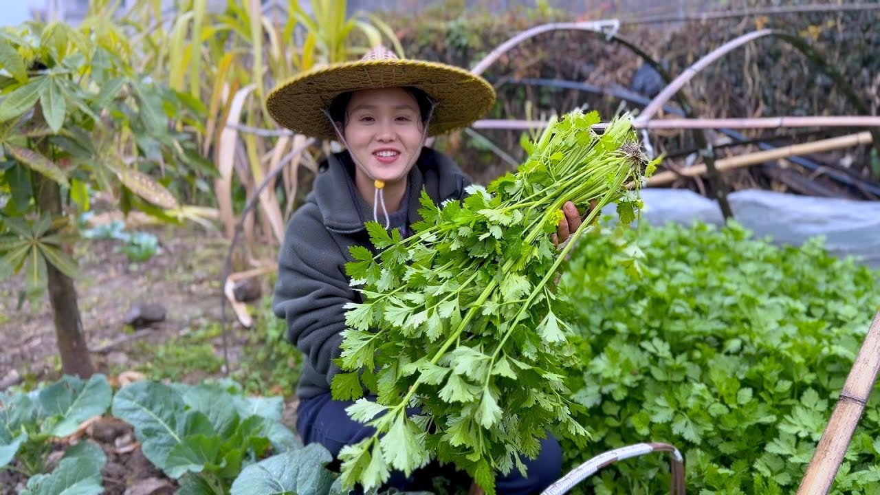 Как вкусно приготовить сельдерей? Этот рецепт очень вкусный, обязательно попробуйте!