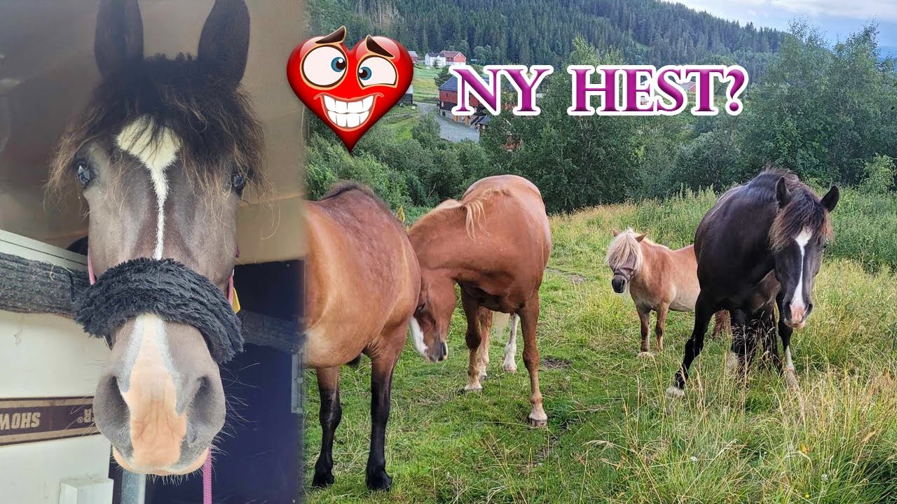Ny stjerne  - spennende tid i vente