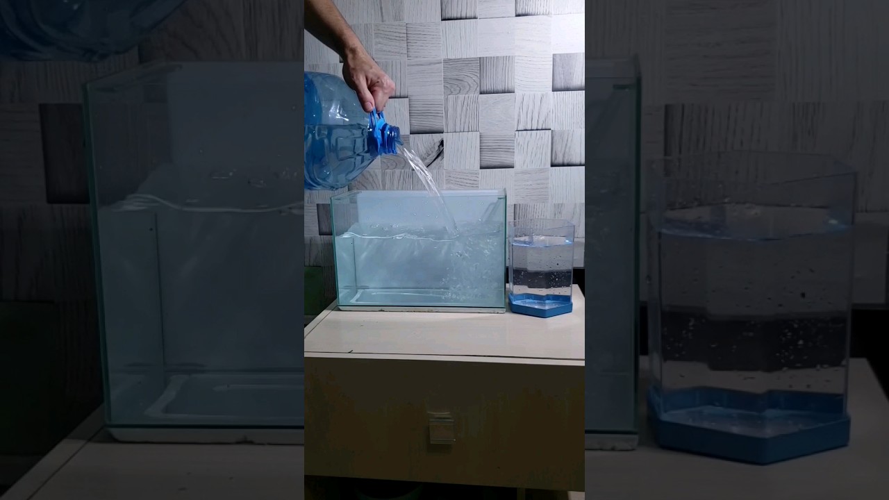 Comparando uma Beteira de 1 litro e um aqu&aacute;rio de 10 litros. Deixa sua opini&atilde;o😉. #aquarismo #betta