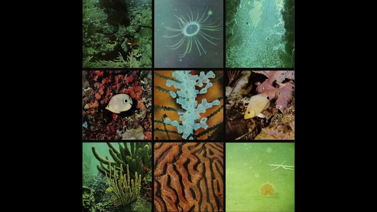 Ocean Floor - Ocean Floor (2011 - Full album)