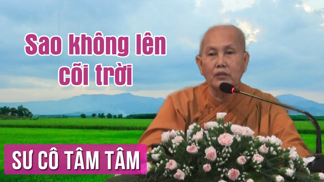 Sao Không Lên Cõi Trời - Sư Cô Tâm Tâm Thuyết Pháp | Giảng Pháp Hay Nhất 2017