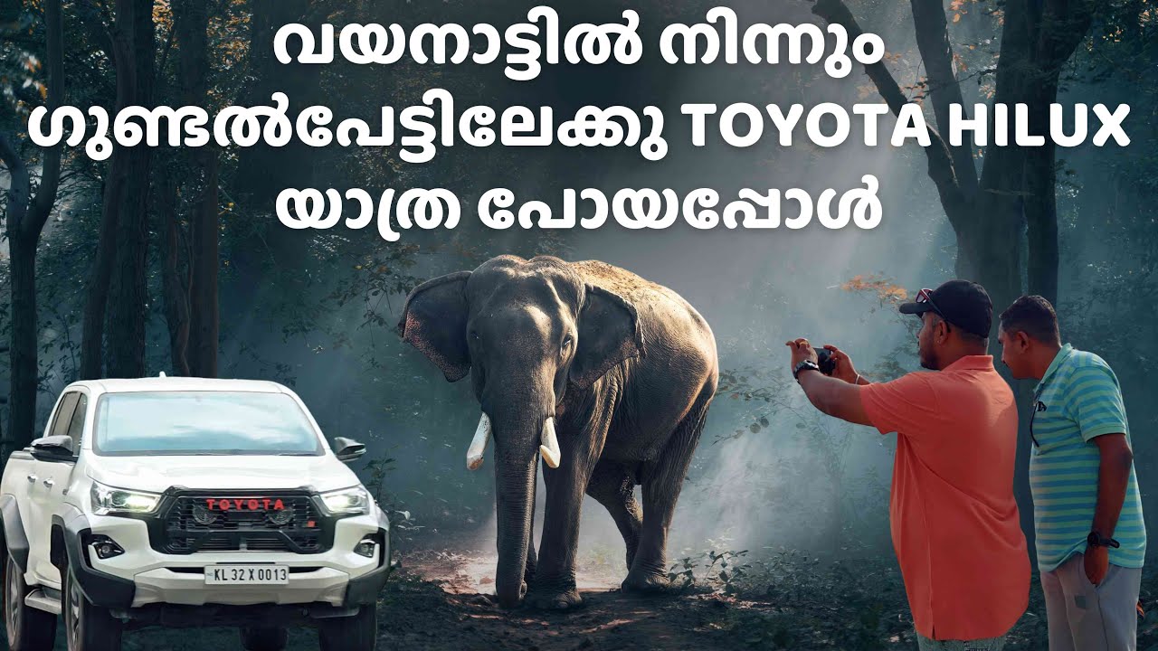 വയനാട്ടിൽ നിന്നും ഗുണ്ടൽപേട്ടിലേക്കു  Toyota Hilux  യാത്ര പോയപ്പോൾ 🐘🚗
