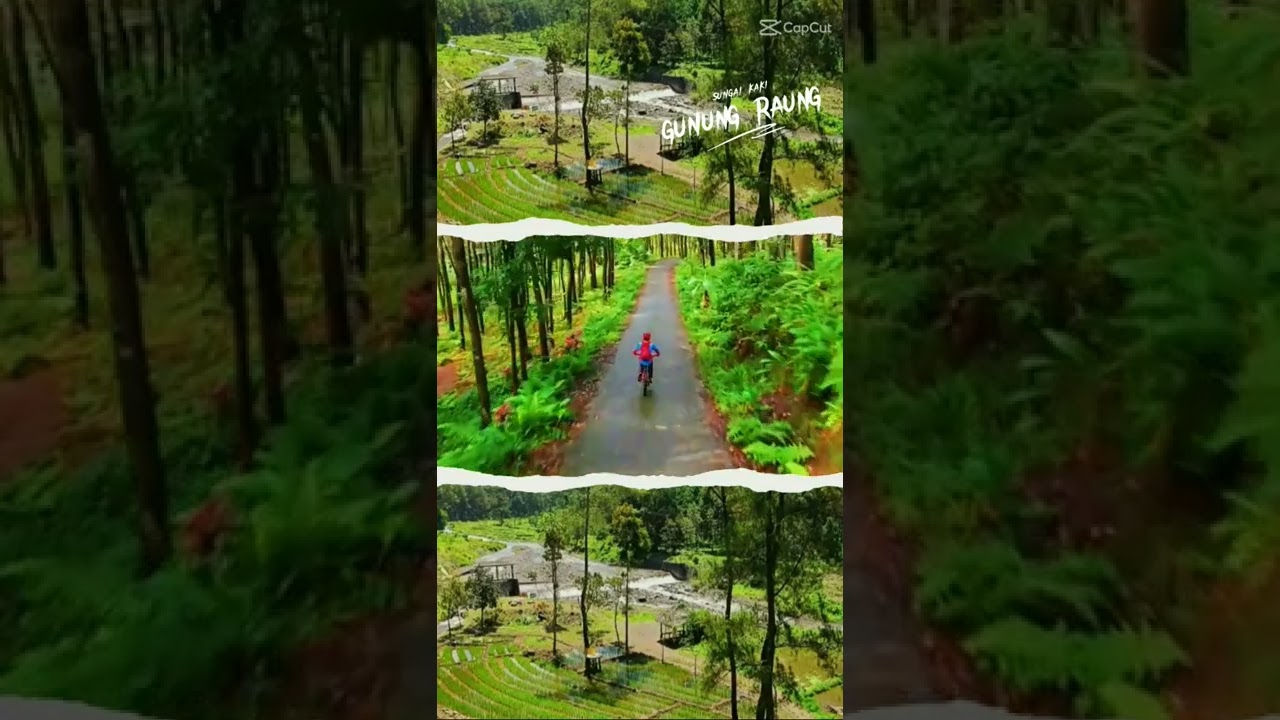 keliling wisata pinus songgon. Banyuwangi