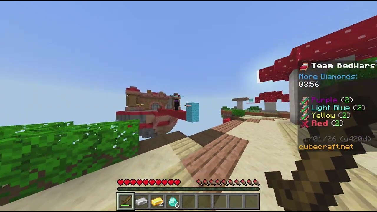 Minecraft_20260131140207