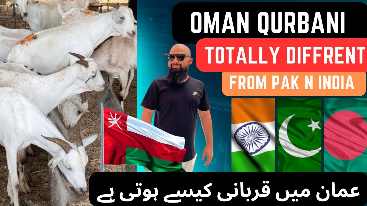Eid Special | Oman Mein Qurbani Kaisy hoti ha | عمان میں قربانی کیسے ہوتی ہے