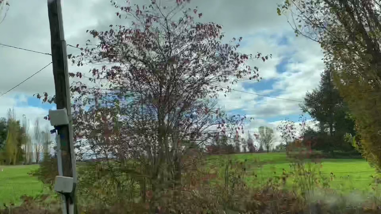 Life as Art:  Breathing the Land IV