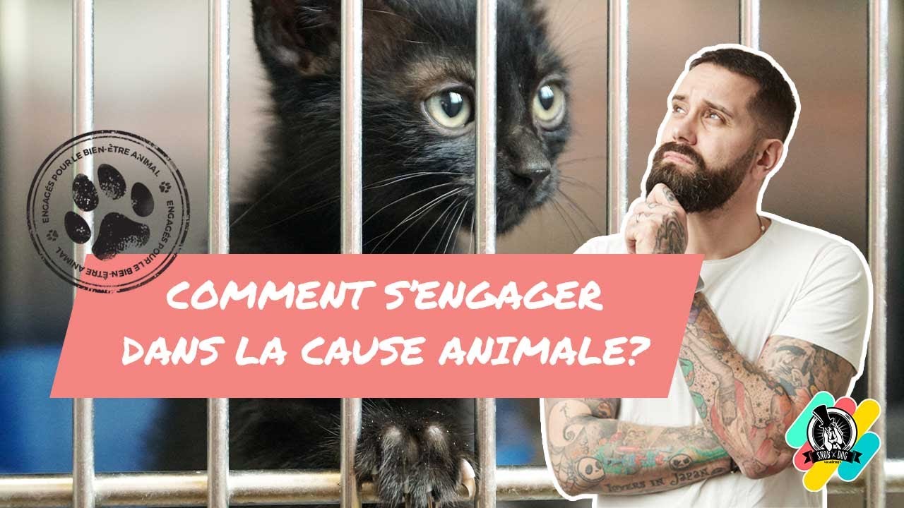 Comment S'ENGAGER dans la CAUSE ANIMALE ?!