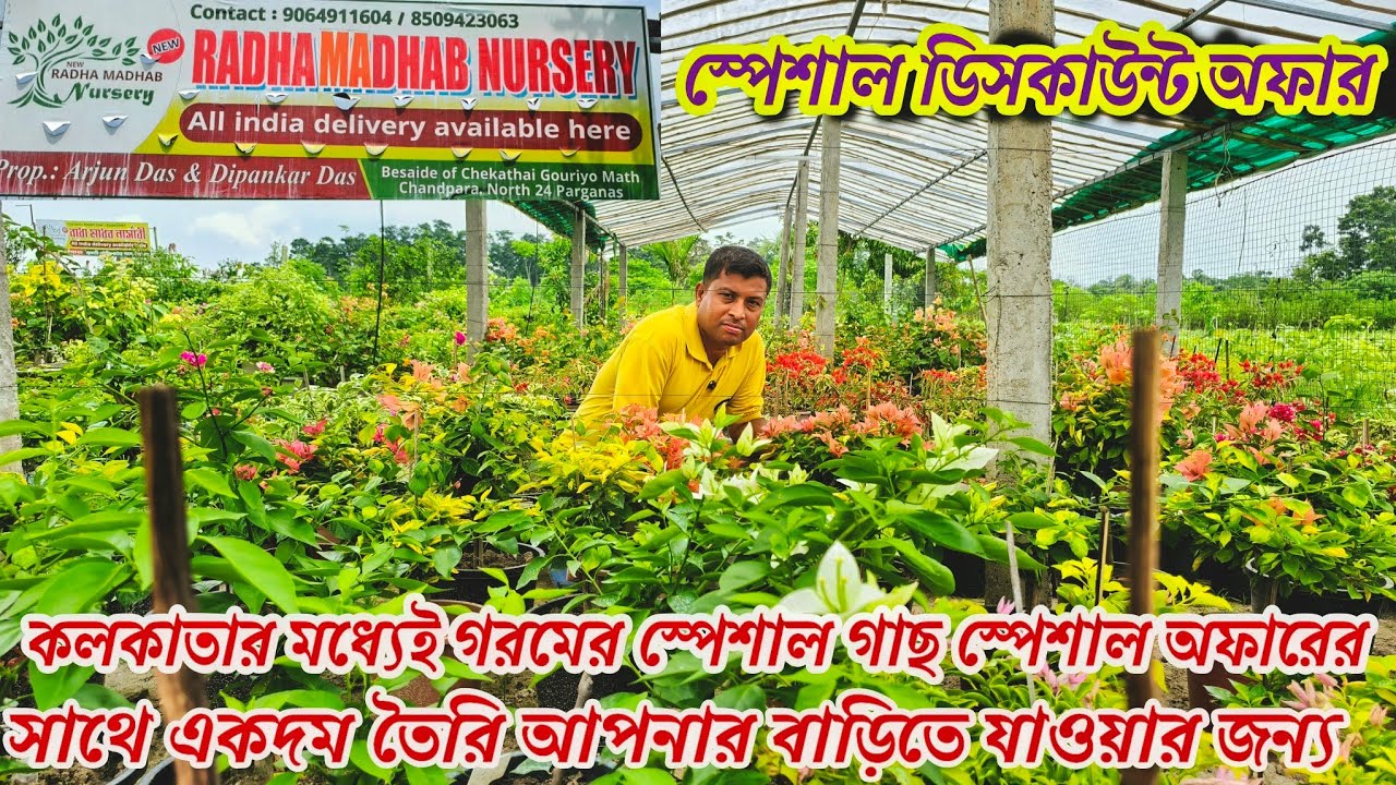 সারা ভারত জুড়ে অনলাইনে প্রচুর ফুল দেবে এমন গাছের স্টক ও বিশাল অফার রাধামাধব এ / Nursery visit