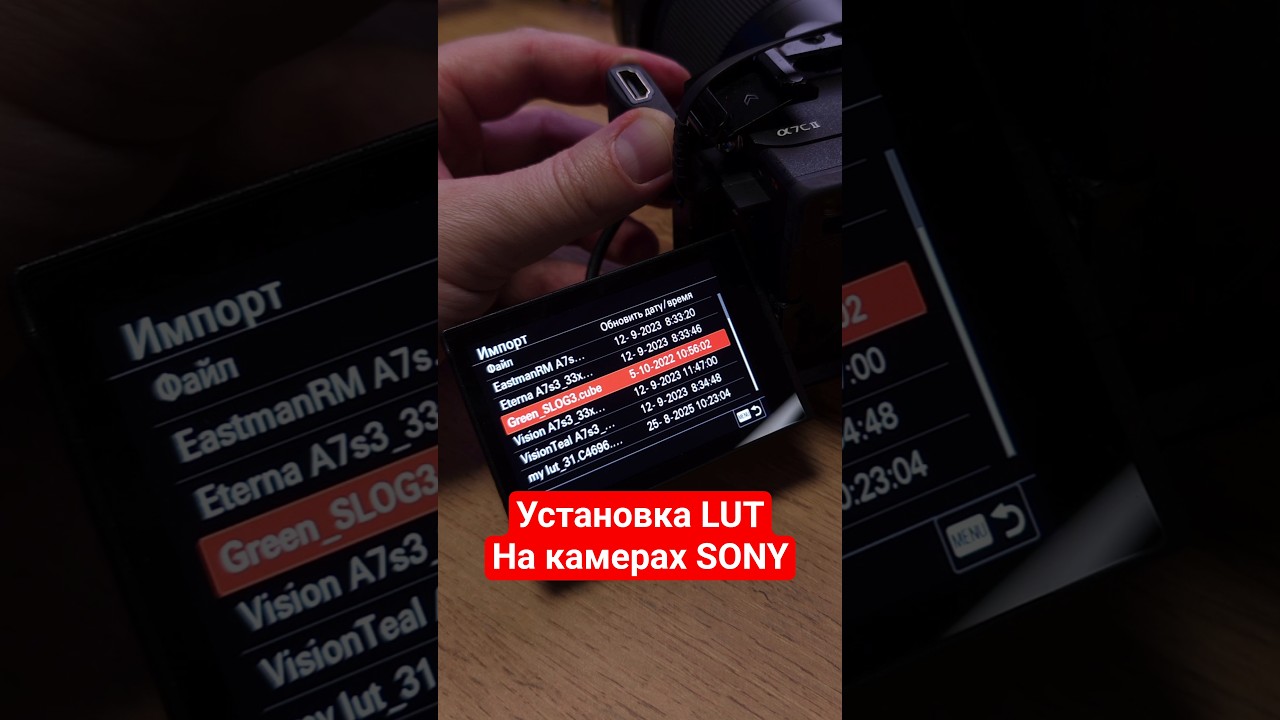 Вот как я устанавливаю Lut на камерах Sony #видеосъёмка #камера #sony #lut #цветокоррекция #davinci