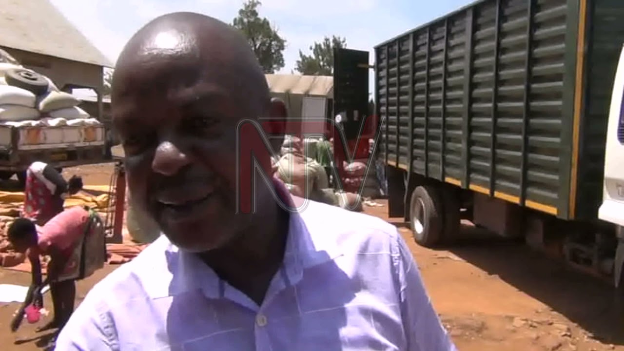 Busia traders look to Kenya for maize, prices go up