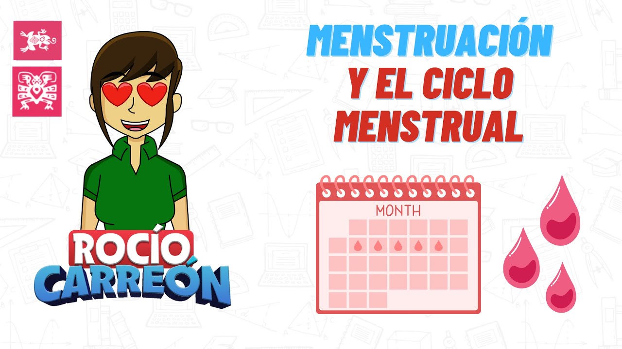 MENSTRUACIÓN Y CICLO MENSTRUAL: Conociendo Nuestro Cuerpo