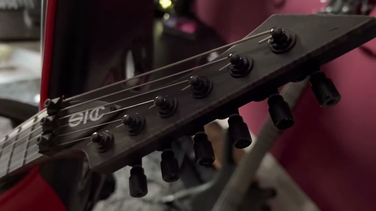 My guitars - Sic Custom Shop Spine RV