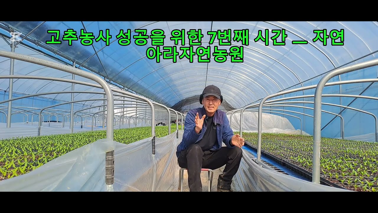고추농사 성공을 위한 7번째 시간 ㅡ 자연