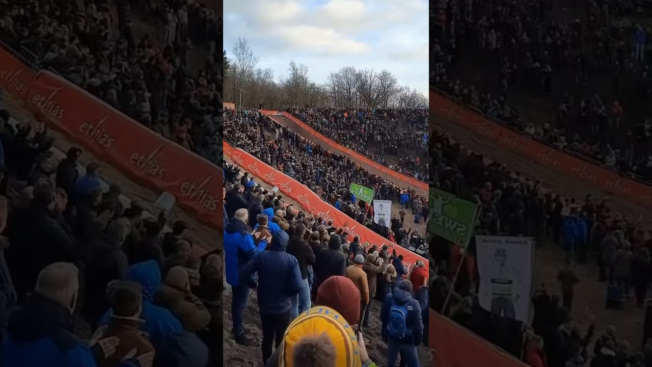 This is what cyclocross in zonhoven looks like #woutvanaert #mathieuvanderpoel #veldrijden #cycling