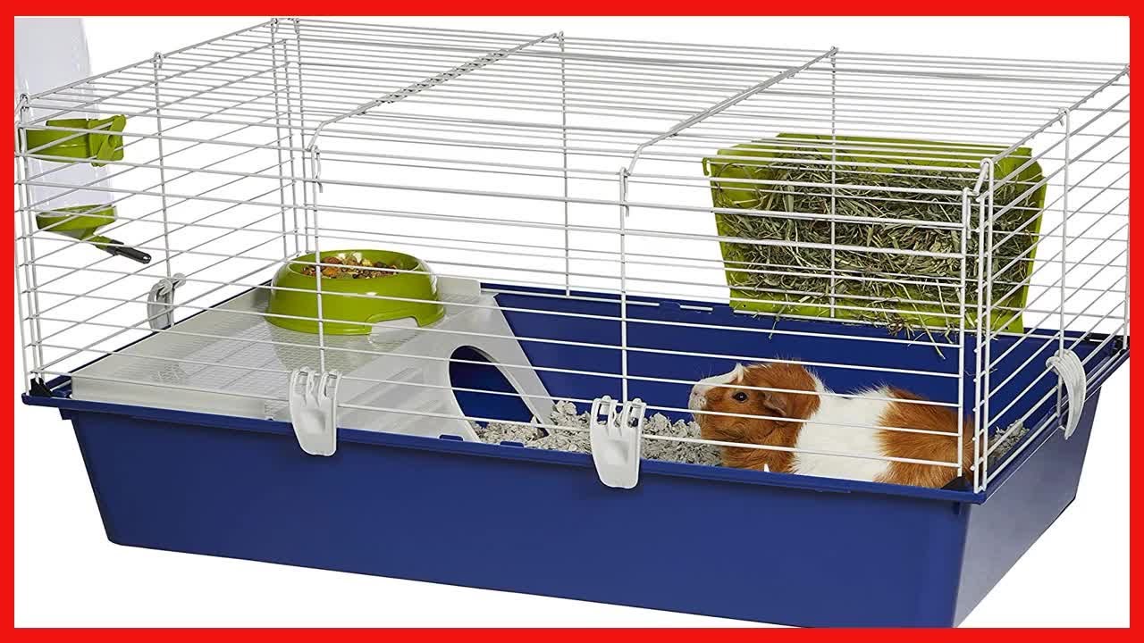 MidWest Homes for Pets Critterville Cleo Guinea Pig Cage  Includes All Accessories, Blue, Large 17