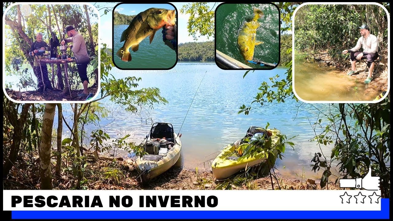 ALMOÇO NA BEIRA DO LAGO - TENTAMOS QUASE TUDO PARA ACHAR O PEIXE #pescaria