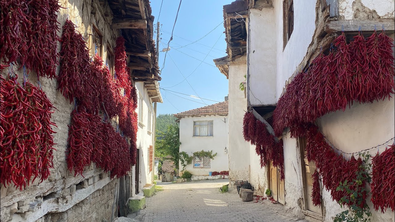 ÇUKURÖREN KÖYÜ/ BİLECİK (Kırmızı biberlerin asılarak kurutulduğu köy)