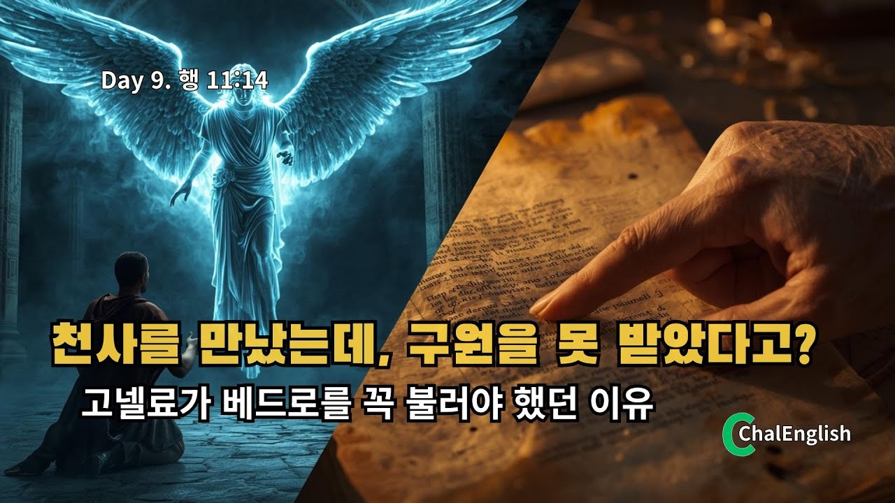[광고]