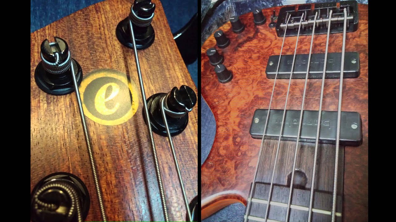Elrick Gold Series E-Volution 5-String 35