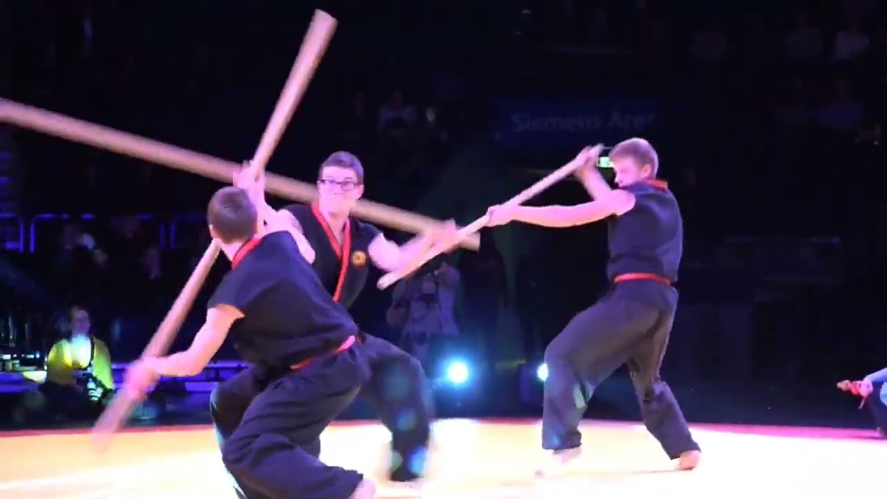 Lietuvos Nhat Nam federacija Kovos menų festivalyje, 2015 m. Vilnius