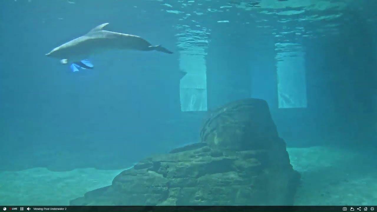 CMA Webcam 1/10/26