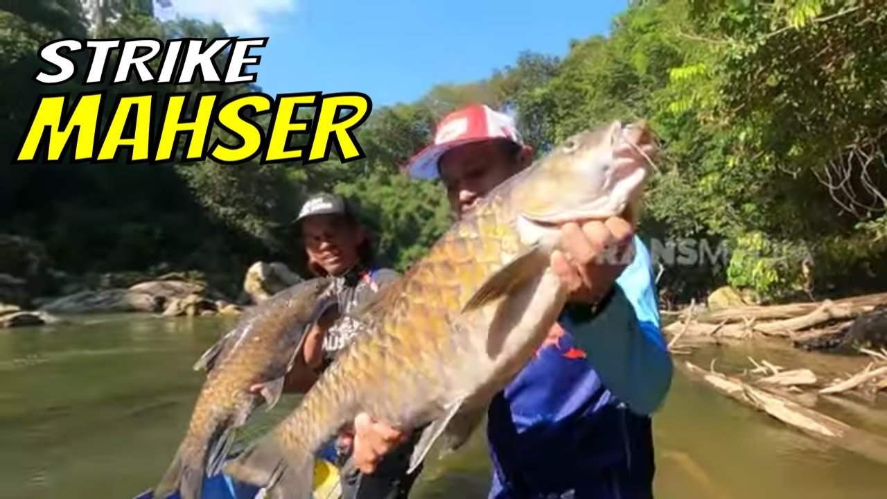 Parade Strike Hampala dan Mahser | MANCING MANIA STRIKE BACK (02/09/23) Part 2