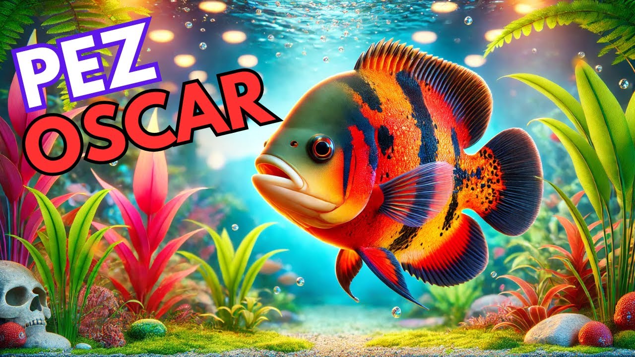 El Pez &Oacute;scar: &iquest;Realmente es el Rey del Acuario?