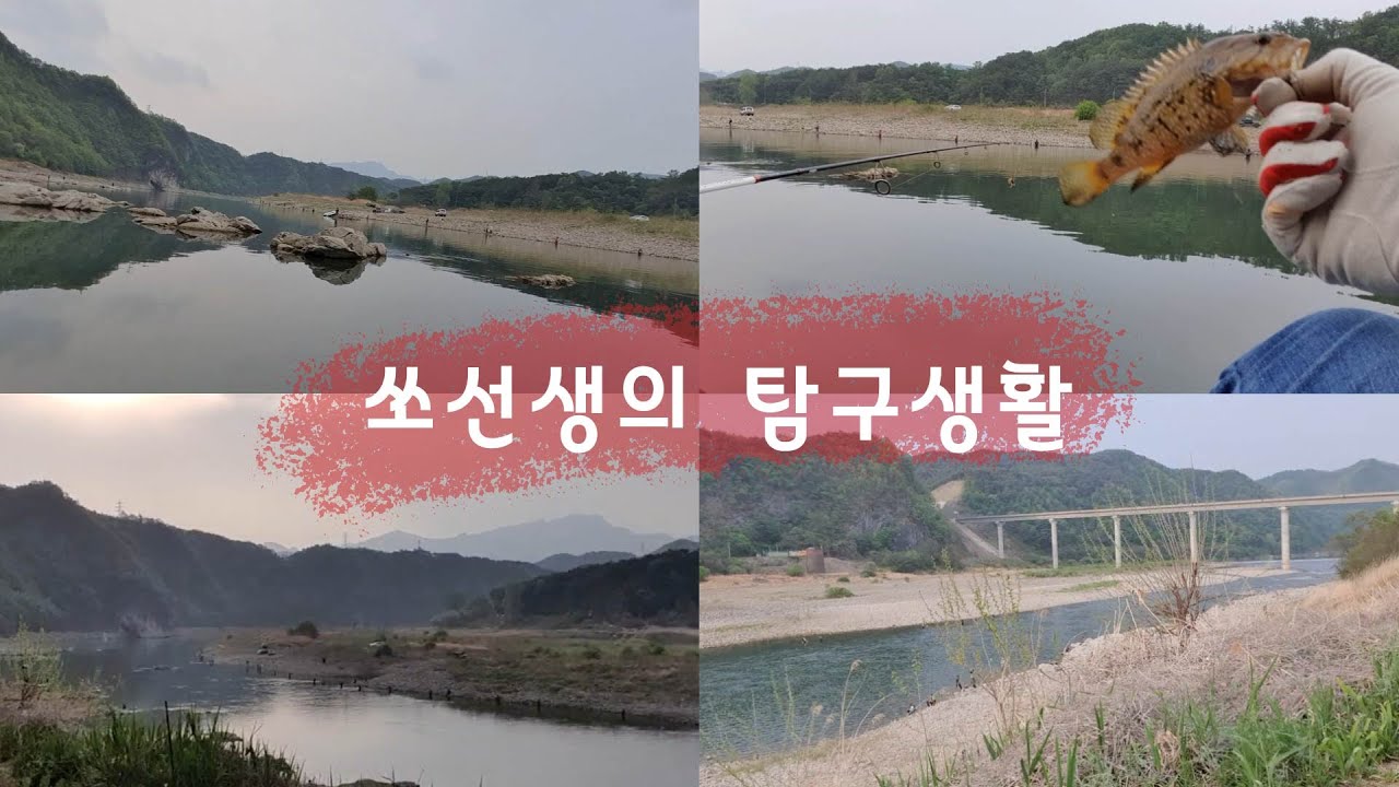 쏘선생의 탐구생활단양하덕천편