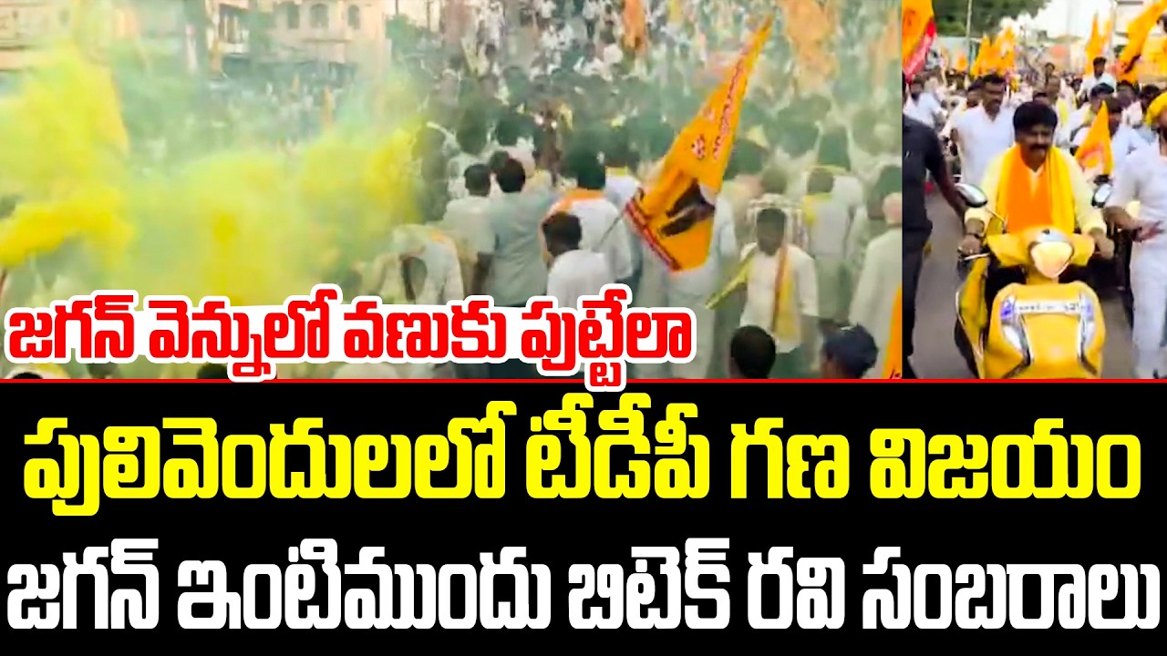 Celebrations reach a fever pitch as TDP clinches a massive victory in Pulivendula! Btech Ravi VS ...