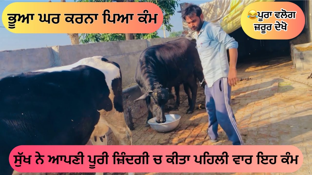 ਭੂਆ ਘਰ ਕਰਨਾ ਪਿਆ ਕੰਮ || NEW PUNJABI VLOGS 2025