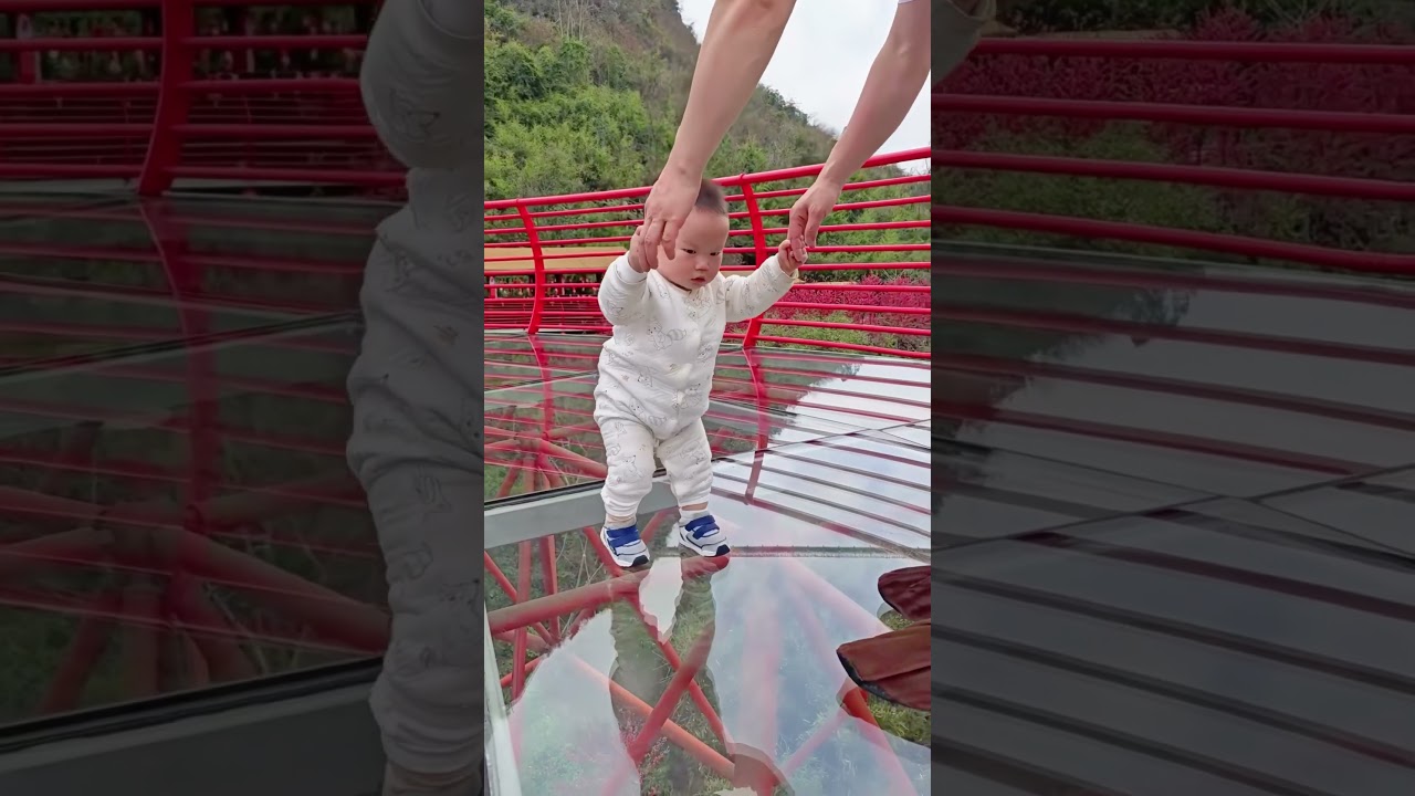 A child crossing a glass bridge🤣#afraid #glass #child #glassbridge #foryou #youtube #funny