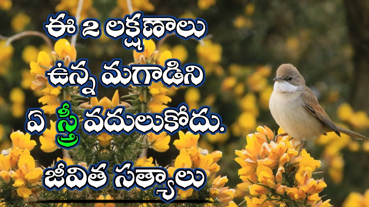 జీవిత సత్యాలు 