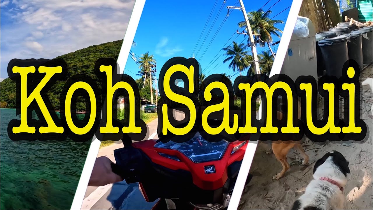 Koh Samui volunteering @happytailssamui