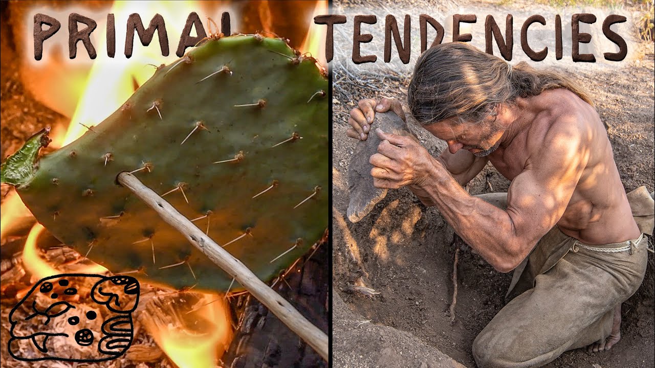 Primitive Life at the Survival Shelter (episode 12)