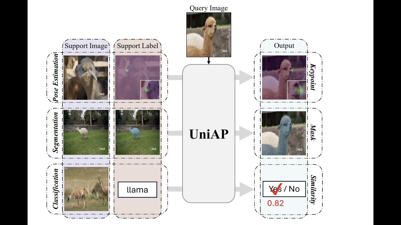 [Demo Video] UniAP: Towards Universal Animal Perception in Vision via Few-shot Learning