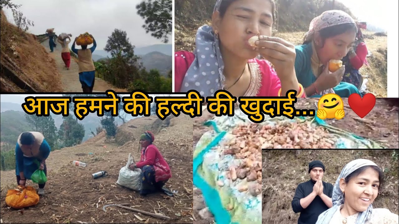 आज हमने की हल्दी की खुदाई...❤️🤗#vlog #shorts #villagelife #vlogging #comedy #villagerlifestyle #fun 