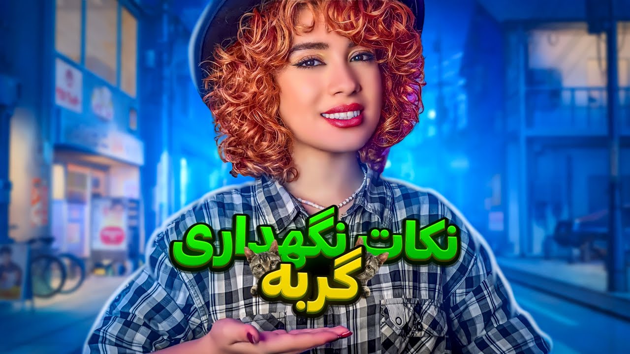 هرچیزی که قبل از آوردن گربه باید بدونی🐈 | اگه عاشق گربه ای اینو ببین