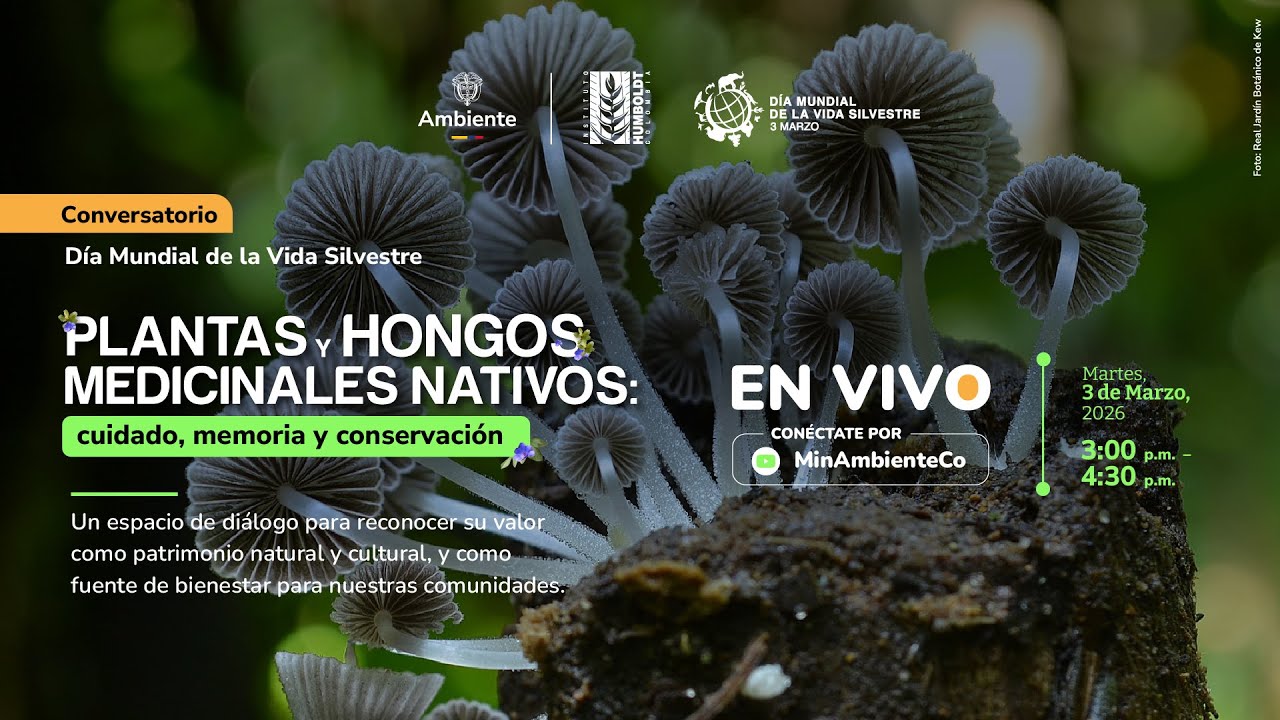 Plantas y Hongos Medicinales Nativos, cuidado, memoria y conservación.