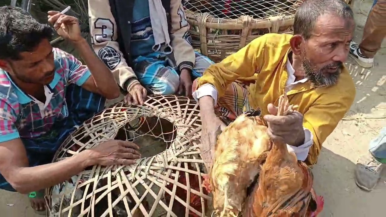 মধুপুর আজকের বাজার দর দাম 