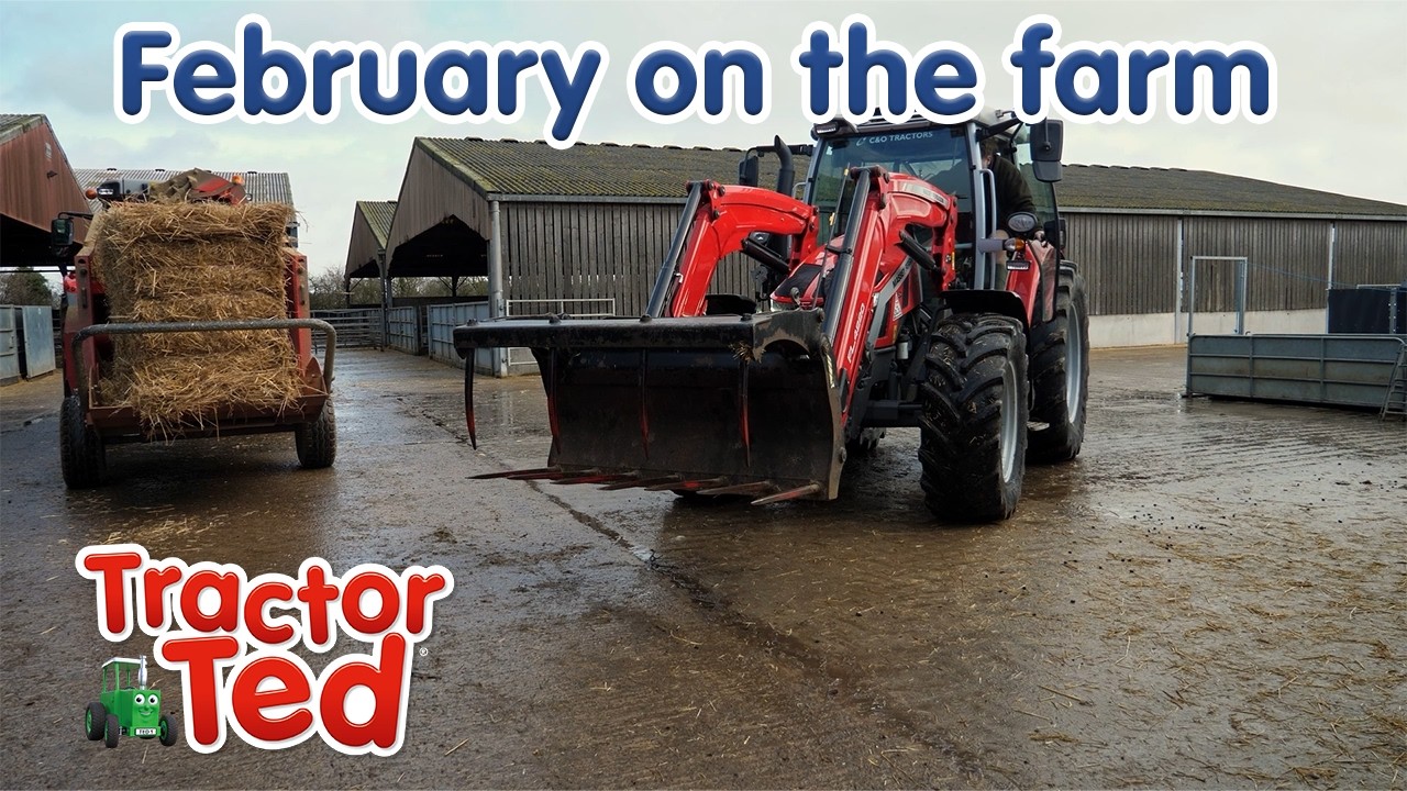 What Happens on a Farm in February? | Winter Farm Life for Kids | Tractor Ted 🚜