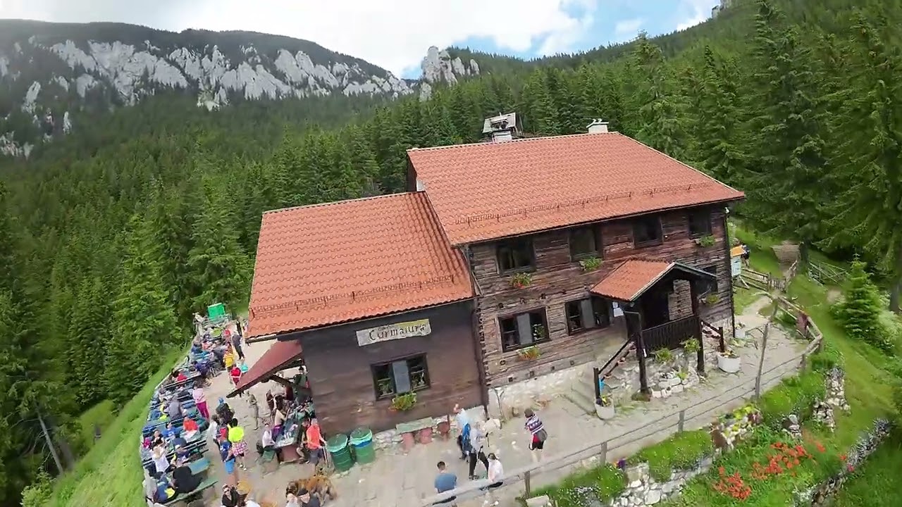 Conquering the Carpathians: Hiking to Cabana Curmatura, Brasov