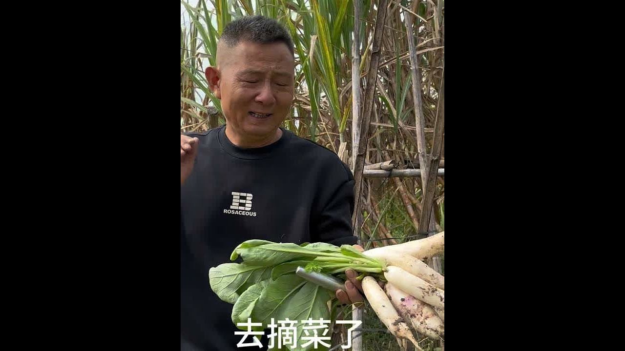 今天学长爸爸生日，学长爸妈一早下去田里砍竹庶、拔白萝卜、摘菜，学长弟弟买一头羊回来准备打火锅。学长妈妈还去邀请老婶婶来吃饭，亲戚朋友兄弟 相聚在一起其乐融融#真实记录生活日常 #湛江农村人日常#生日
